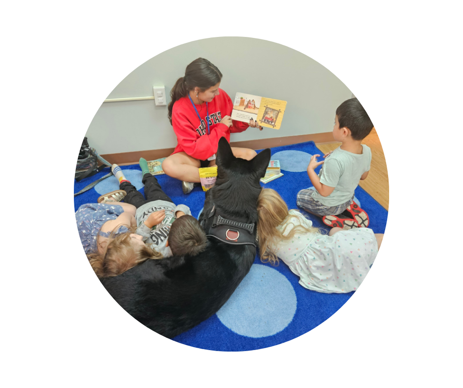 5. Emotional and Therapeutic Support 5. Emotional and Therapeutic Support